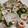 クック0UQ98I☆'s cooksnap of when they made 蛸と蓮根の胡麻マヨ和え.