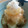 しみあいさん's cooksnap of when they made おでんの残りで揚げだし大根.