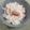 心葉ママ's cooksnap of when they made ほんのりピンク色♡ほくほく落花生ご飯♪.