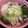 よぐまん's cooksnap of when they made ひらひら大根と鯖缶の塩麹豆乳鍋.