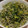 たらららーん's cooksnap of when they made 簡単！大根の葉としらすのふりかけ.