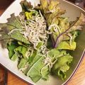 tentemari☆'s cooksnap of when they made ケールの中華風サラダ.