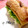 MeguBroaden's cooksnap of when they made 朝マック風.