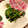 ましち's cooksnap of when they made ほうれんそうのオイゴマ和え.