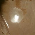 クック1BXKLA☆'s cooksnap of when they made お豆腐★ショコラ★プリン（FP編）.