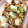 orangeMaki's cooksnap of when they made 白菜と豚肉のオイスターソース炒め.