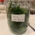 てぃんばん's cooksnap of when they made 簡単！大根の葉っぱふりかけ.