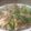 まくりたん's cooksnap of when they made 豚コマと小松菜炒め.