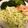TOYMee☆'s cooksnap of when they made キャベツのしっとり和サラダ.