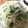 ☆あおはるママ☆'s cooksnap of when they made もやしと小松菜の梅しらすあえ.