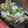 こずぴ★'s cooksnap of when they made 鮭のみぞれ煮♪まいたけ入り♪しっとりと.