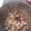 tannrei's cooksnap of when they made イカと里芋の煮物 *☻*.