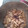 tannrei's cooksnap of when they made イカと里芋の煮物 *☻*.