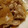 エンドウマメ造's cooksnap of when they made 超簡単！豚バラと薄切り大根のとろとろ煮.