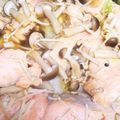 くりくりた's cooksnap of when they made 簡単！銀鮭のフライパンでホイル焼き風.