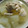 クックUSUN6I☆'s cooksnap of when they made 大根と鶏肉の塩煮.