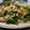 越後のさくらもち's cooksnap of when they made ピーマンと挽肉のオイスターソース炒め.