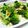 しゅんぺいのママ's cooksnap of when they made ブロッコリーと茹で卵のごまマヨネーズ和え.