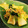 ★runa★'s cooksnap of when they made 青梗菜とちりめんじゃこの炒め物.