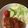 ha♡'s cooksnap of when they made 超簡単♪ 煮込みハンバーグ.