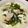 クック7FNN0F☆'s cooksnap of when they made あっという間に！かき玉にゅうめん.