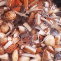 クック57VZDE☆'s cooksnap of when they made おばあちゃんの味・煮込み（にごみ）.