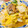 U☆kaoru's cooksnap of when they made さっと簡単！白菜と缶詰煮.