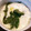のぶ代's cooksnap of when they made ふわとろ茶碗蒸し★彡.