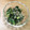 みぃくんのママ's cooksnap of when they made ごま小松菜.