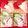 saw5U7♡'s cooksnap of when they made パーティレシピ 華やかクラッカー☆.
