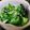 ぴかぴかぴかぴか's cooksnap of when they made 簡単！乾燥わかめできゅうりの酢の物.
