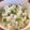 オバケくちびる's cooksnap of when they made 枝豆ごはん.