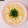 ☆ひなたmama☆'s cooksnap of when they made 京都風　卵とじうどん　しょうがを添えて.