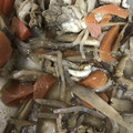 Yokchina's cooksnap of when they made 牛肉とごぼうのしぐれ煮.
