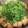 こいこいまつり's cooksnap of when they made 水菜とおあげのはりはり鍋.