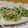 ゆけり３兄弟's cooksnap of when they made 大根とカイワレ大根★かつお節サラダ！.