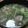 すみっちゃん's cooksnap of when they made 簡単！5分で！大根おろしコンソメスープ☆.