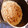 グアニル's cooksnap of when they made とても簡単で美味しい松茸御飯.