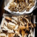 azbjbn's cooksnap of when they made きのこを冷凍保存してみよう♪.