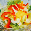 extra＊'s cooksnap of when they made ささみとシャキシャキ野菜のサラダ.