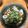 しゅんのま's cooksnap of when they made 胡瓜とちくわの酢の物.