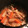 ame-ikuru's cooksnap of when they made 豚肉と大根のにんにく煮♪簡単.