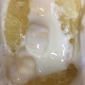51エリア's cooksnap of when they made マシュマロ♪グレープフルーツヨーグルト.