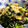 Muffin33's cooksnap of when they made 大根の葉が副菜に！簡単ごま油炒め.
