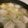 u_usim's cooksnap of when they made 体ぽっかぽかの肉団子鍋☆.