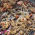 きーゆーさん's cooksnap of when they made たべまる給食【焼きそば】.