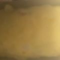 ma___111's cooksnap of when they made 食事パウンドケーキ：ベーコンオニオン.
