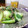 ダイナマイト漆黒's cooksnap of when they made 青梗菜とジャコのカルシウム炒め.