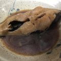 ♡櫻蘭♡'s cooksnap of when they made カレイの煮付け(毎回同じ味で失敗なし).
