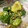 せあぶ's cooksnap of when they made 簡単！アボカドとオクラのわさび和え.